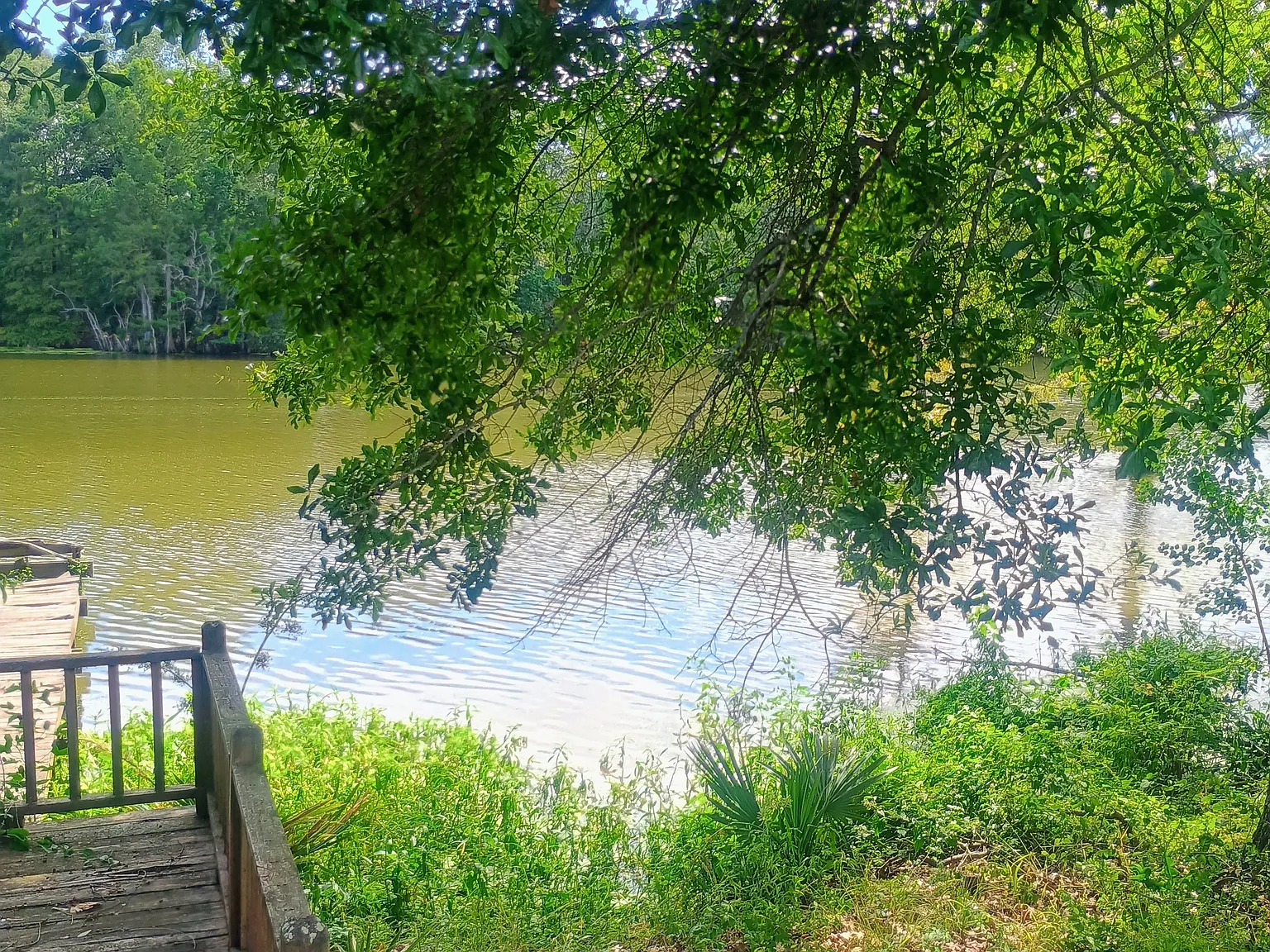 2 bed, 1000 sqft, $1,200 — Photo 4