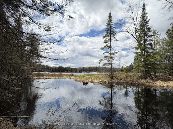 1170 Peter Rd, Bracebridge, ON P1L 1X3