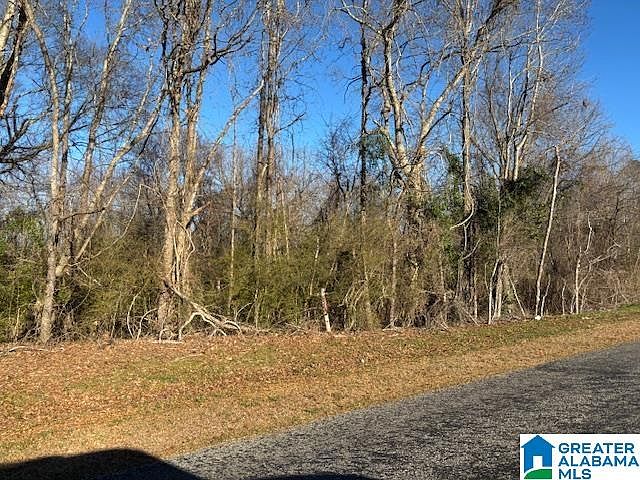 2nd image of 0 County Road 48 #4
