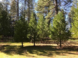7028 Pioneer Dr, Grizzly Flats, CA 95636