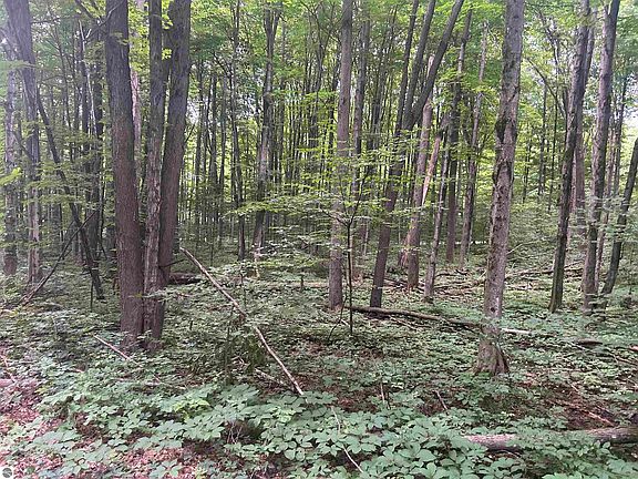 4th image of LOT 152 Schreck Ln