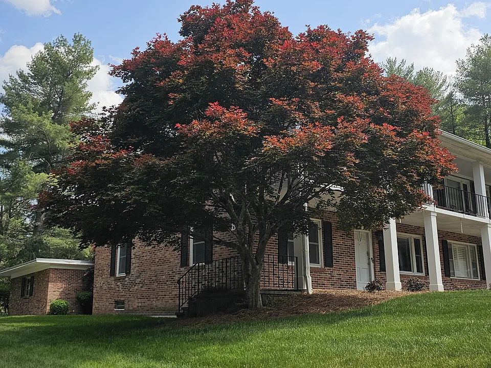 102 Boyd Dr #3B