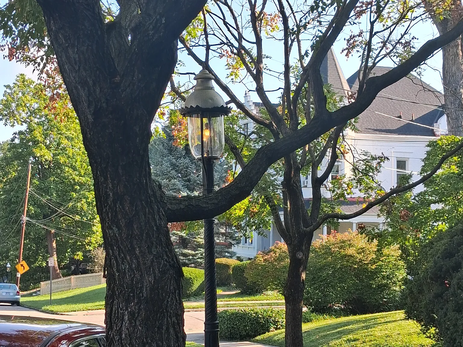 1 bed, 610 sqft, $900 — Photo 2