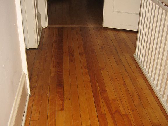 Upper Level - Hardwood