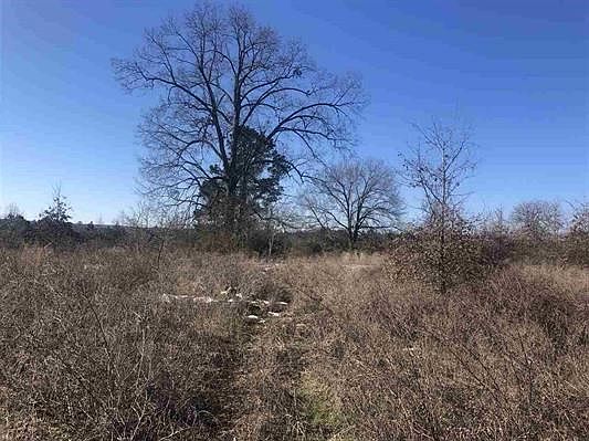2nd image of County Road 1239