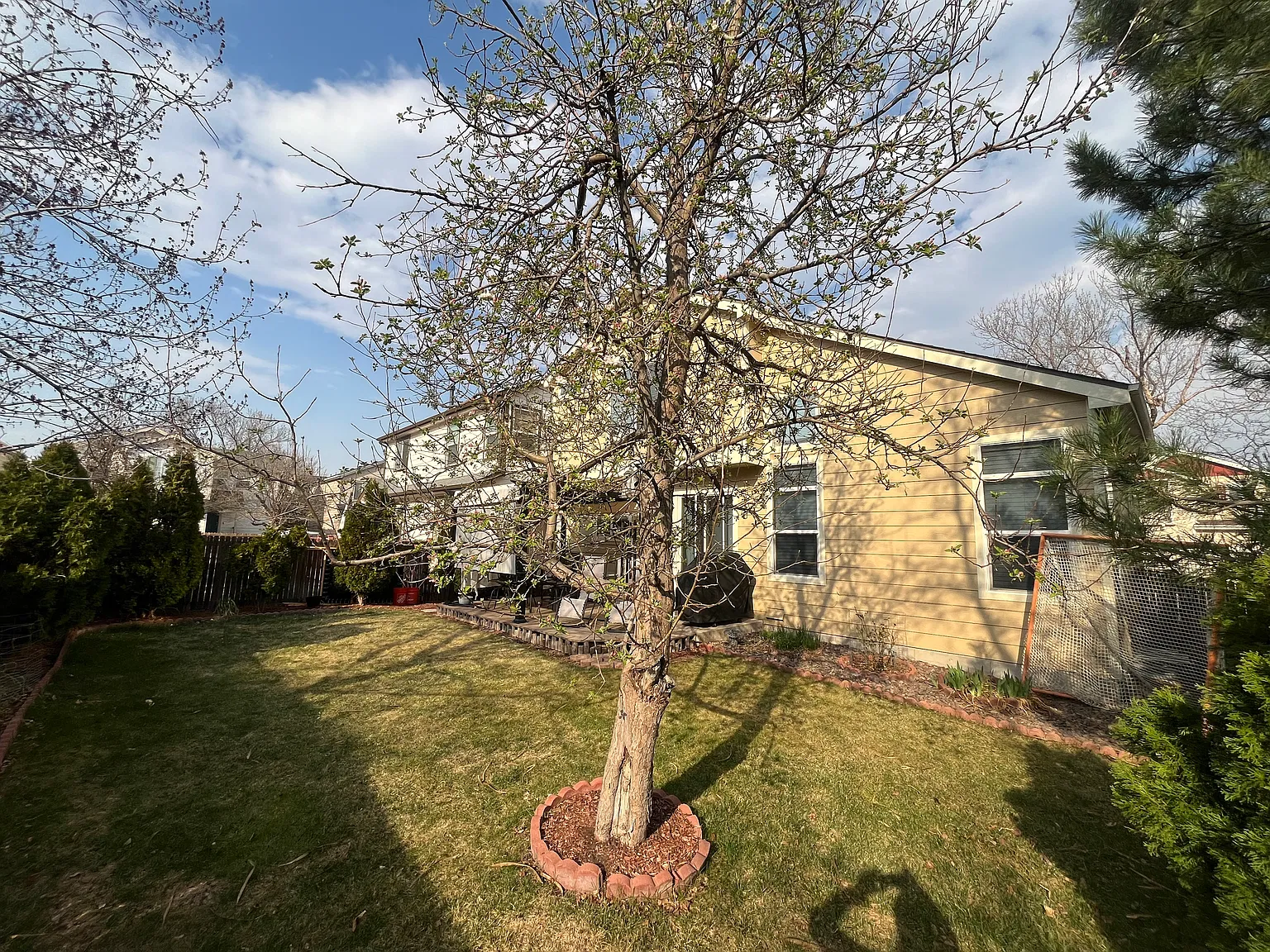 4 bed, 1994 sqft, $3,500 — Photo 4