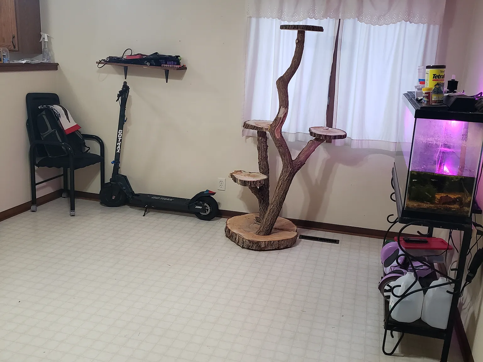 3 bed, 1229 sqft, $1,195 — Photo 3