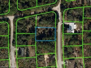 232 Twilight Dr, Lake Placid, FL 33852