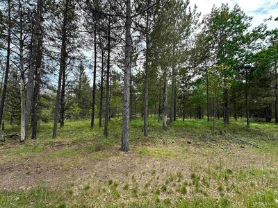 M35 Road, Gwinn, MI, 49841
