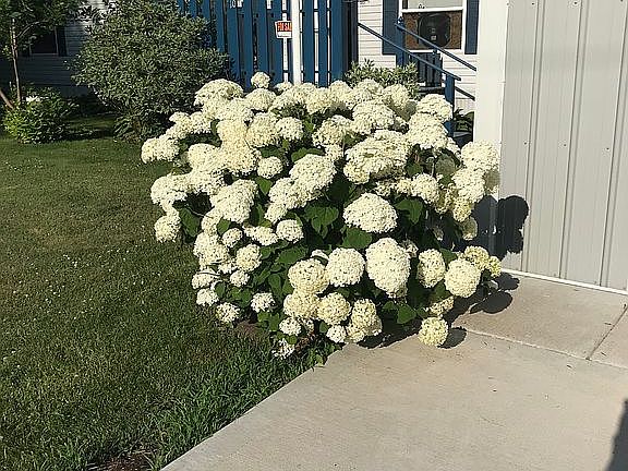 3rd image of 33150 Donna Dr Lot 10