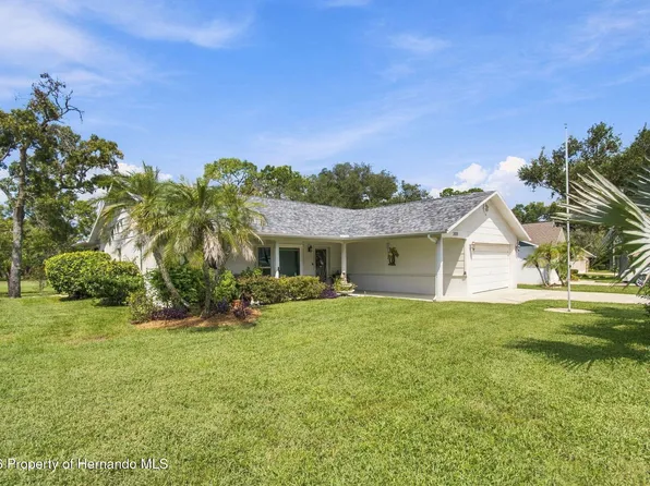 2429 Birdie Ln, Spring Hill, FL 34606