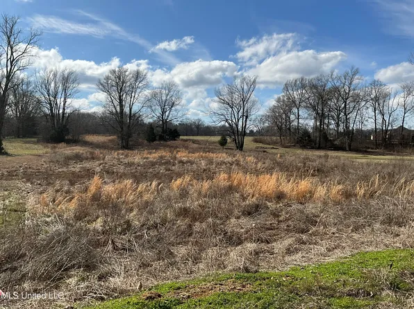 3371 Sherri Cv #21, Hernando, MS 38632
