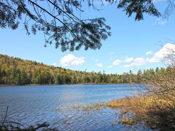 281 Stock Ln, Inlet, NY 13360