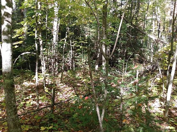 3rd image of 22-1813 Moonshine Valley Rd