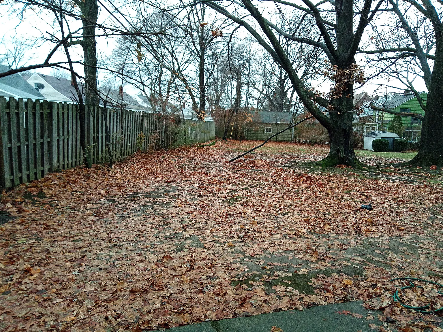 4 bed, 1.5 bath, $1,995 — Photo 2