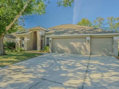 12804 Big Sur Dr, Tampa, FL, 33625