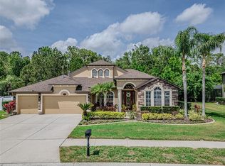 16200 Ivy Lake Dr, Odessa, FL 33556
