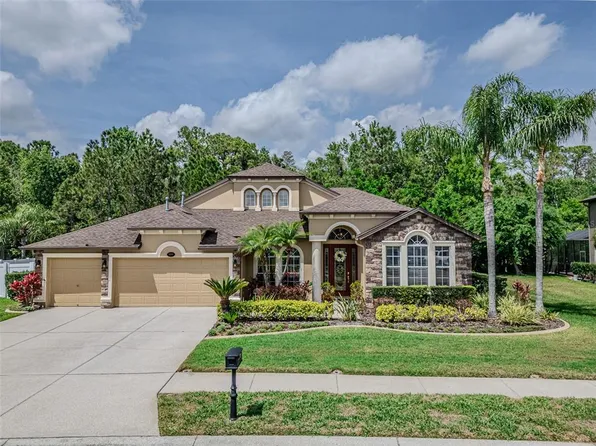 16200 Ivy Lake Dr, Odessa, FL 33556