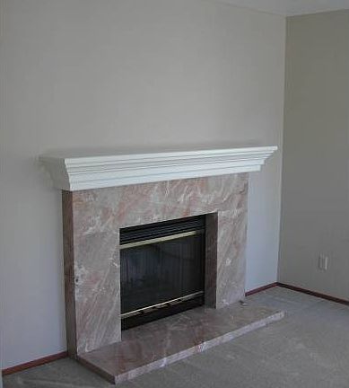 Fireplace/Living
