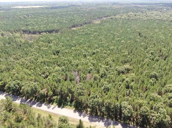 40 AC Browndeer Ave E Acres, Arkdale, WI 54613
