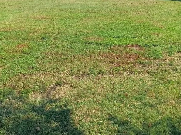 2402 Fuqua Rd, Rowlett, TX 75088