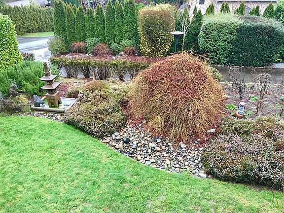 Front yard
