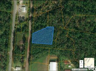 Wise Road Tracts 3 And #11, Conway, SC 29526