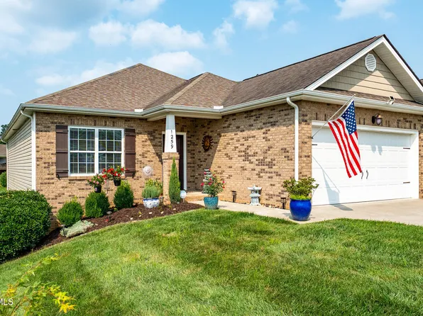 1259 Willow Springs Dr, Johnson City, TN 37604
