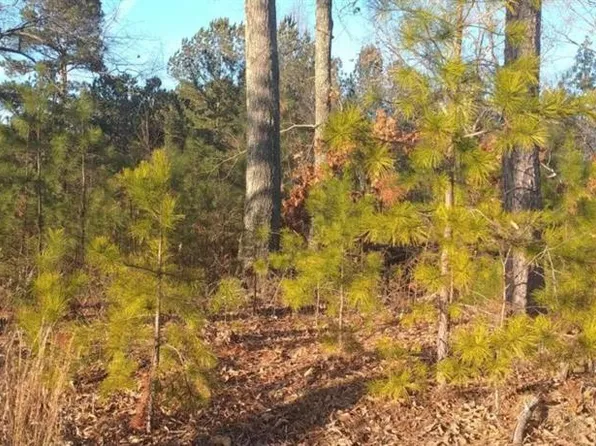 4771 Highway 92, Acworth, GA 30102