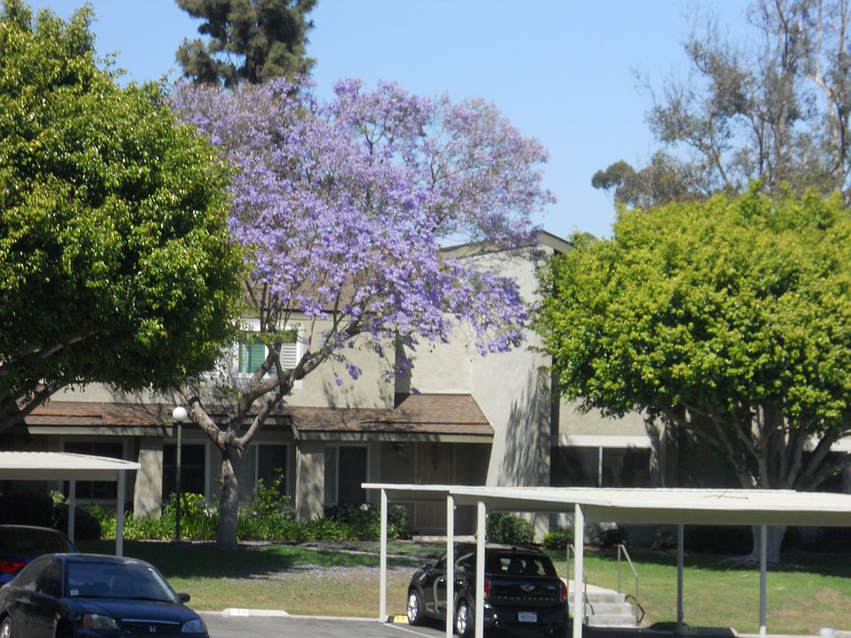 1st image of 10837 Macouba Pl