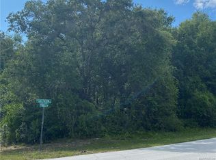 8336 N Golfview Dr, Citrus Springs, FL 34434