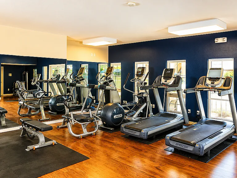 Fitness Center Cardio Wall