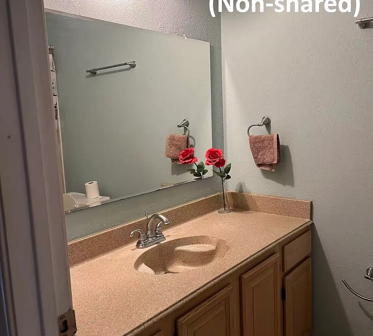 1 bed, 130 sqft, $600 — Photo 4