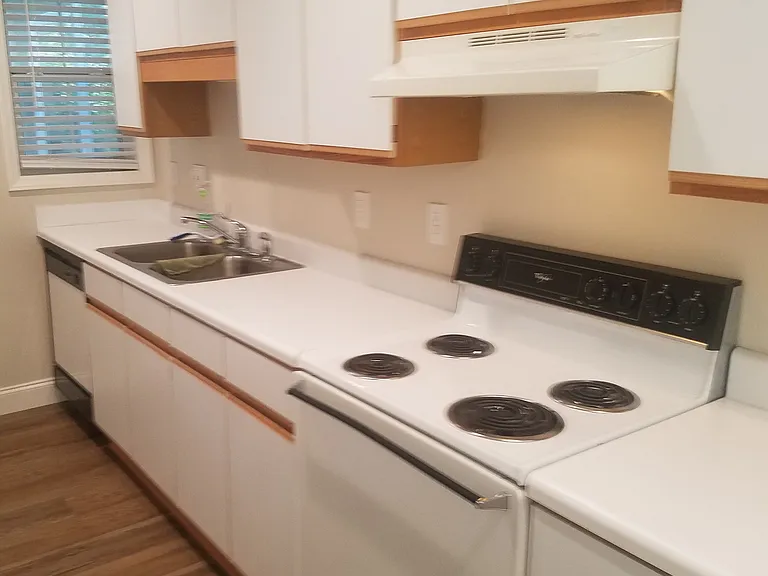 4404 Jasmine Cove Way — Photo 7