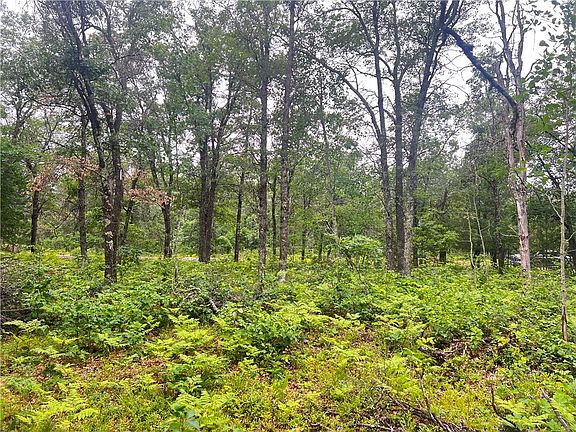 5th image of Lot 9 Flowage Road