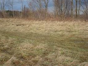 4th image of 52535 National Rd E