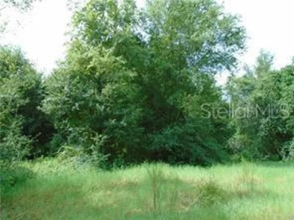 Joslyn Ln, Lady Lake, FL 32159
