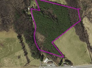 Gibson Knob Rd, Laurel Fork, VA 24352