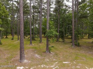 290 Cassie May Blvd LOT 134, Oriental, NC 28571