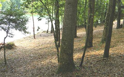 1st image of East Lakeview Drive