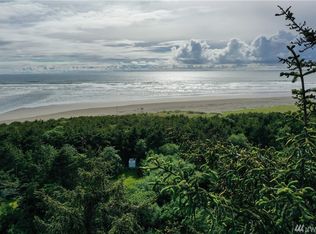 54 Ocean View Ln, Copalis Beach, WA 98535