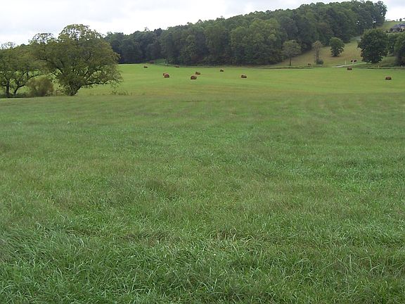 View from front porch