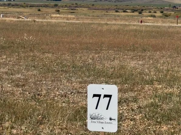 77 Etna Forest Rd, Etna, WY 83118