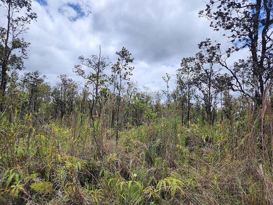 2nd image of Omeka Rd Lot 35