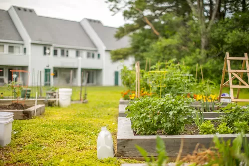 Community garden for residents' plantings - Foreside Estates