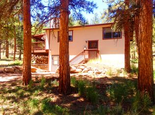 955 Forest Service 200 Road, Lake George, CO 80827