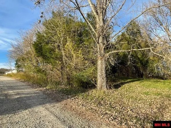 12 Little Ln, Cotter, AR 72626