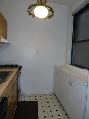 Rented by Manhattan Flats | media 18