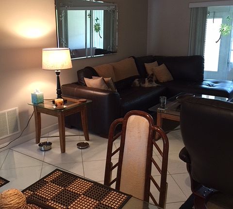 Dining/Living Room
