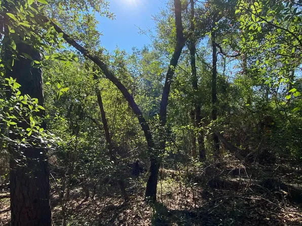 113 Oleander St, Pomona Park, FL 32181